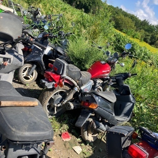 原付スクーター　引き取りに限定