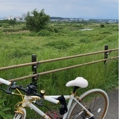 LIG(リグ) LIG MOVE 700C クロスバイク シマノ7段変速 ホワイトの画像