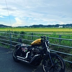 暇になったためバイク乗りません？