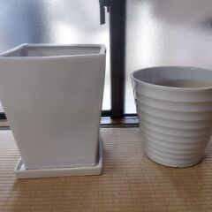 観葉植物の鉢、2個セットになります。