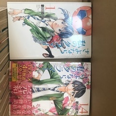 さよなら私のクラマー　の画像