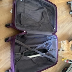 キャリーケースの画像