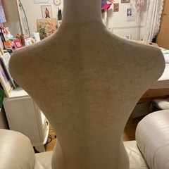 上半身トルソーの画像