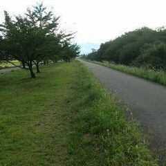 ウオーキング仲間募集