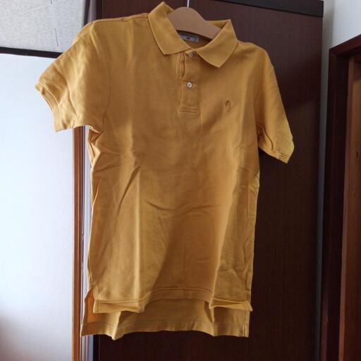 新品リーバイス…ポロシャツ２枚あります