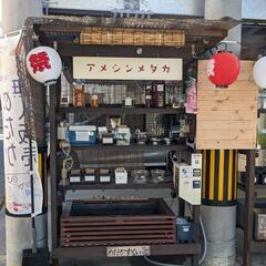 深海ダルマ　 ♂2♀2　4匹セット　固定率抜群！　宜野湾市大謝名小学校の門の前です。Googleマップにのってます👍の画像