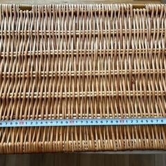 収納ケース 2コ の画像