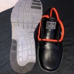 NIKE stefan Janoski. AIRの画像