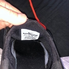 NIKE stefan Janoski. AIRの画像