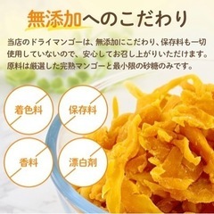 ドライマンゴー 70g×5個 無添加