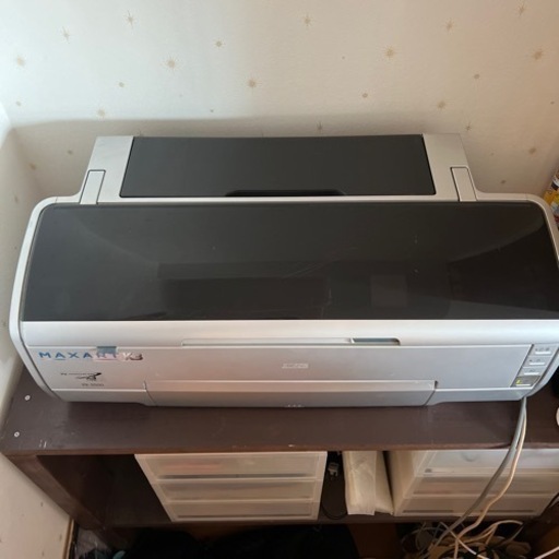 EPSON PX-5500 プリンター　動作確認済み　