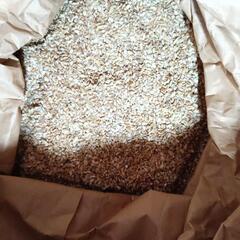 今年のくず米　無料　決定の画像