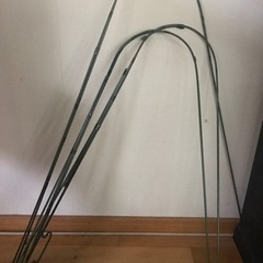 【中古】蘭の支柱　3本