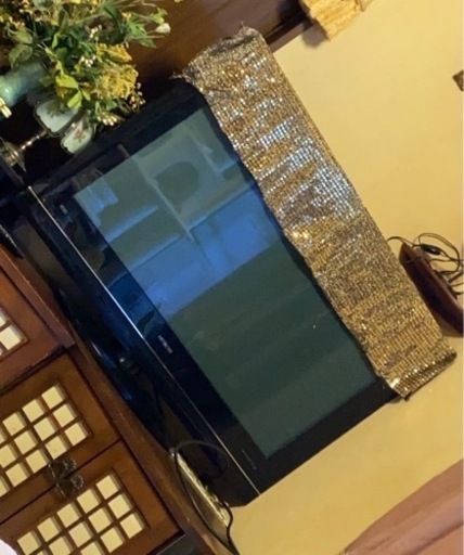 テレビ(大きめ)