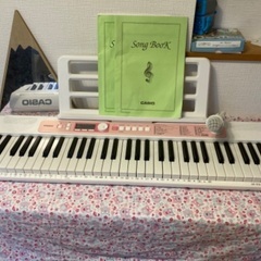 CASIO LK-312 Hikari 