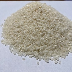 新米　30kg  品種:秋の詩　令和6年産