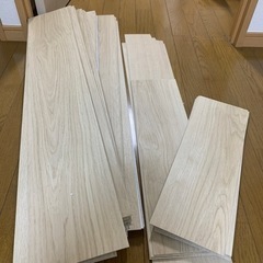 使用済ピタフィー 色531