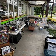 メダカ掬い　メダカ販売します！　9月17日