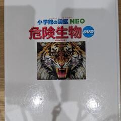 危険生物の画像