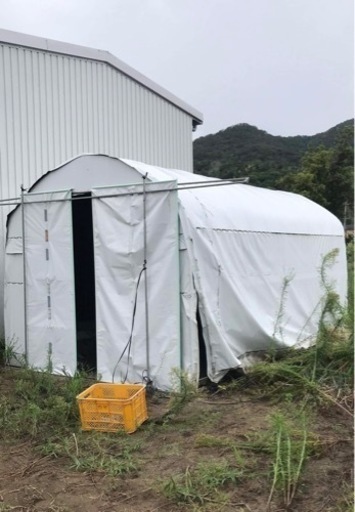 ビニールハウス 中型