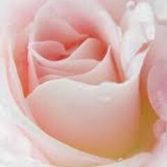 ☆50代からのお友達募集☆