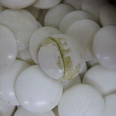 脚付き 囲碁盤 桂 42.5cm×45.5cm×高さ21.5cm 厚さ8cm ＆ 碁石 白170個 黒170個 セット の画像