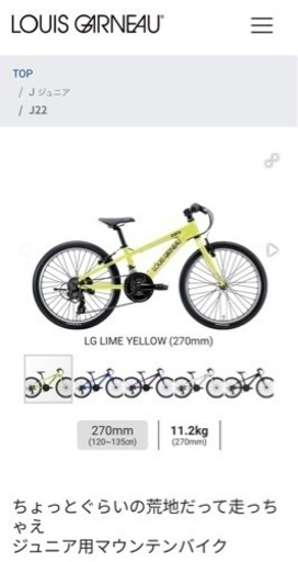 子供用ルイガノマウンテンバイク【新品約5万円】