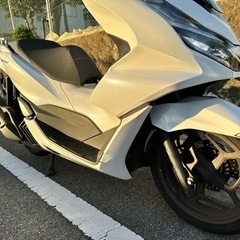 現行PCX125 jk05 白の画像
