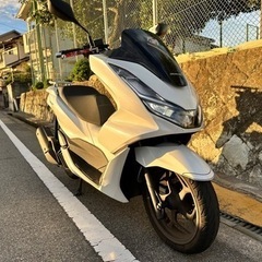 現行PCX125 jk05 白の画像