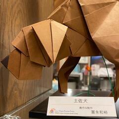 『すごい折り紙展覧会(9/16ワークショップもあり！)』@支留比亜珈琲 金山店 − 愛知県