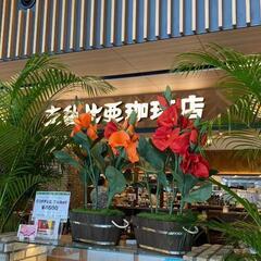 『すごい折り紙展覧会(9/16ワークショップもあり！)』@支留比亜珈琲 金山店 - イベント