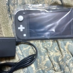 ニンテンドー  Switch  ライト