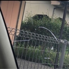ダイハツ タントの画像