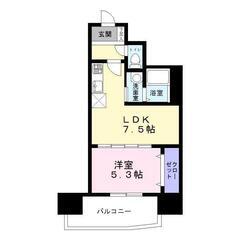 💚仲介手数料無料💚【高野線「堺東」徒歩3分】敷金礼金０●１ＤＫ●バストイレ別●ウォシュレット●独立洗面台●室内洗濯機置き場●オートロック●エレベーター『X066』 - 堺市