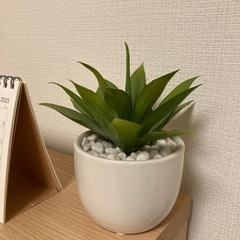 フェイクグリーン　ミニ
