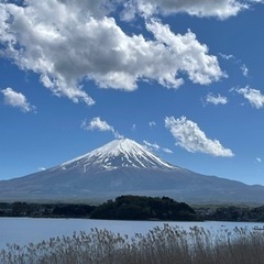 ツーリング仲間募集！🏍️初心者大歓迎！楽しい仲間大募集 - 杉並区