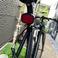 フジ　Fuji フェザー　feather 黒　ブラックの画像