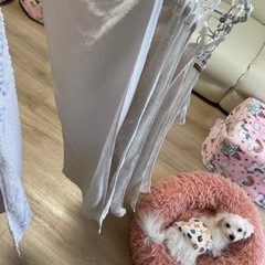 保護犬に使ういらなくなったタオル下さいm(._.)m