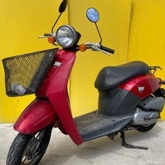 セル始動❗️簡易メンテ済⭐️トゥデイ ホンダ⭐️静かで燃費良い⭕️ 原付　スクーター　50ccの画像