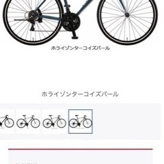 ※再度値引き！【値下げしました】ルーツスポーツL「SR70LZ」...