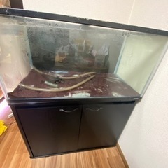 90センチ水槽セット