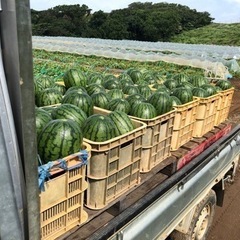 農作業アルバイトの画像