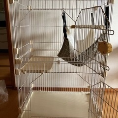 （受け渡し予定）キャットケージ　中古の画像