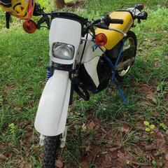 メンテ済みSUZUKI TS50 即乗り出し可能 オマケでメット...