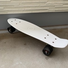 ［無料］ミニクルーザー　スケートボード　22インチ