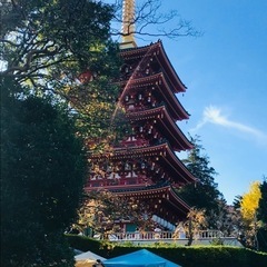 多摩地区近郊の月、木、日曜日の日中、カフェやスポットご一緒出来る方募集！ - 府中市