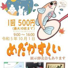 2023.10.1めだかすくい