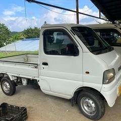 ヴァイスシュヴァルツ　かわいいのこだわり　パレオ　BDR ヴァイスシュヴァルツ バンドリ かわいいのこだわり パレオ BDR