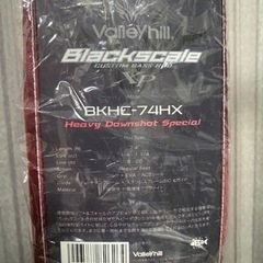 バスロッド　バレーヒル　ブラックスケール　XP　 BKHC-74HXの画像