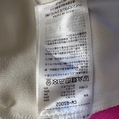 champion チャンピオントレーナー　Lサイズの画像